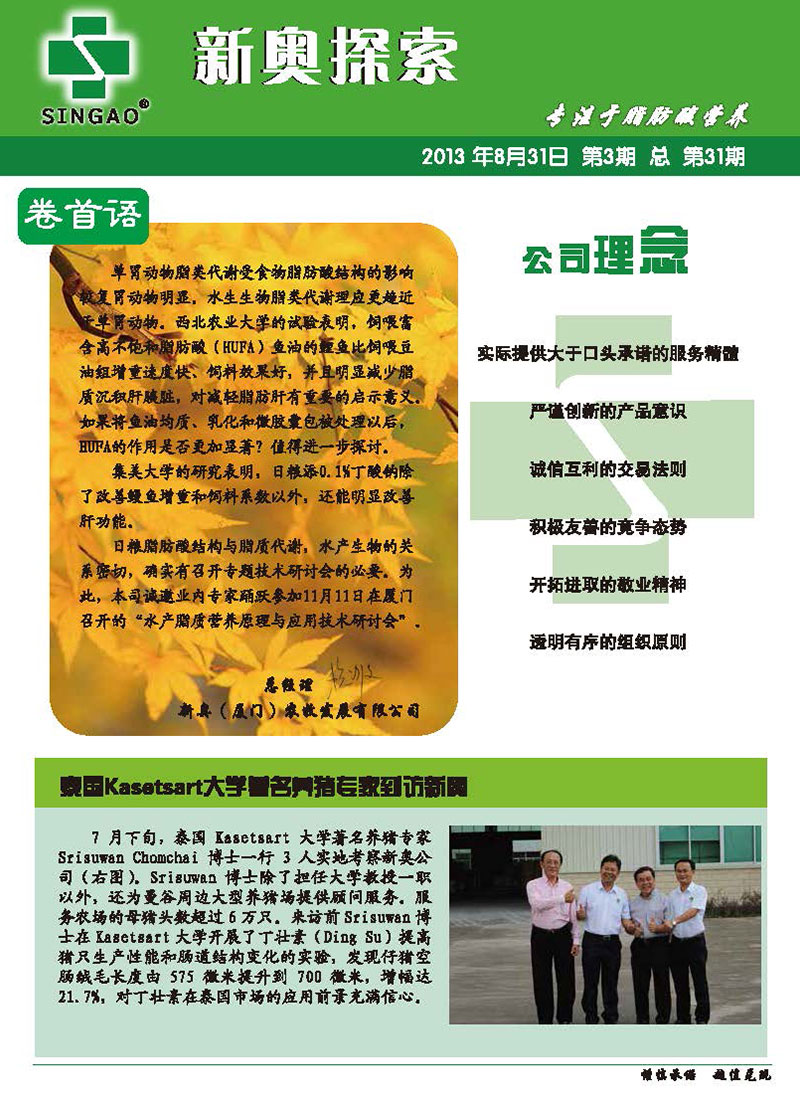 新奥正版全年免费资料|讲解词语解释释义