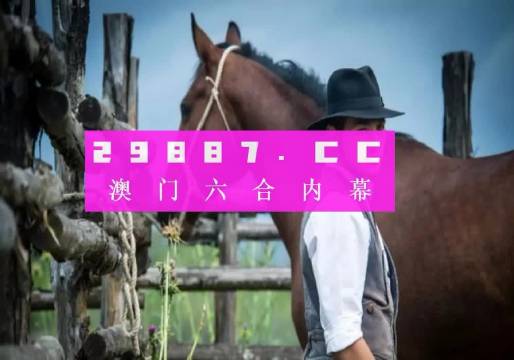 澳门今晚必中一肖一码查询|综合研究解释落实