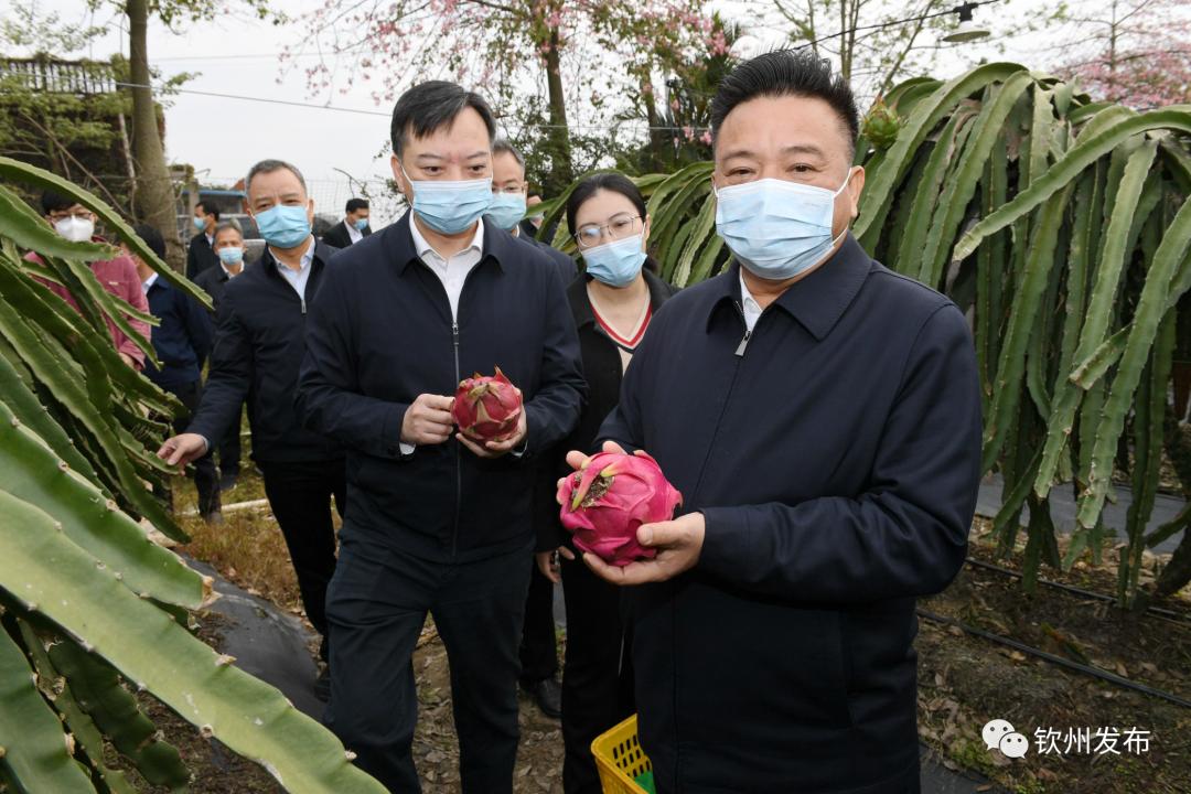 新澳精准资料|全面贯彻解释落实