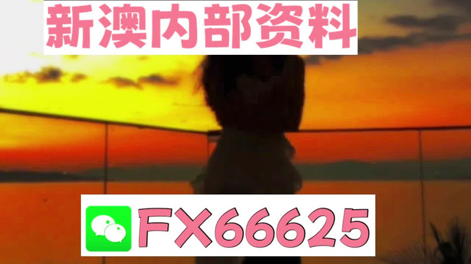 一码一肖100准正版资料|实用释义解释落实