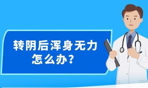 新澳精准资料免费提供403|精选解释解析落实
