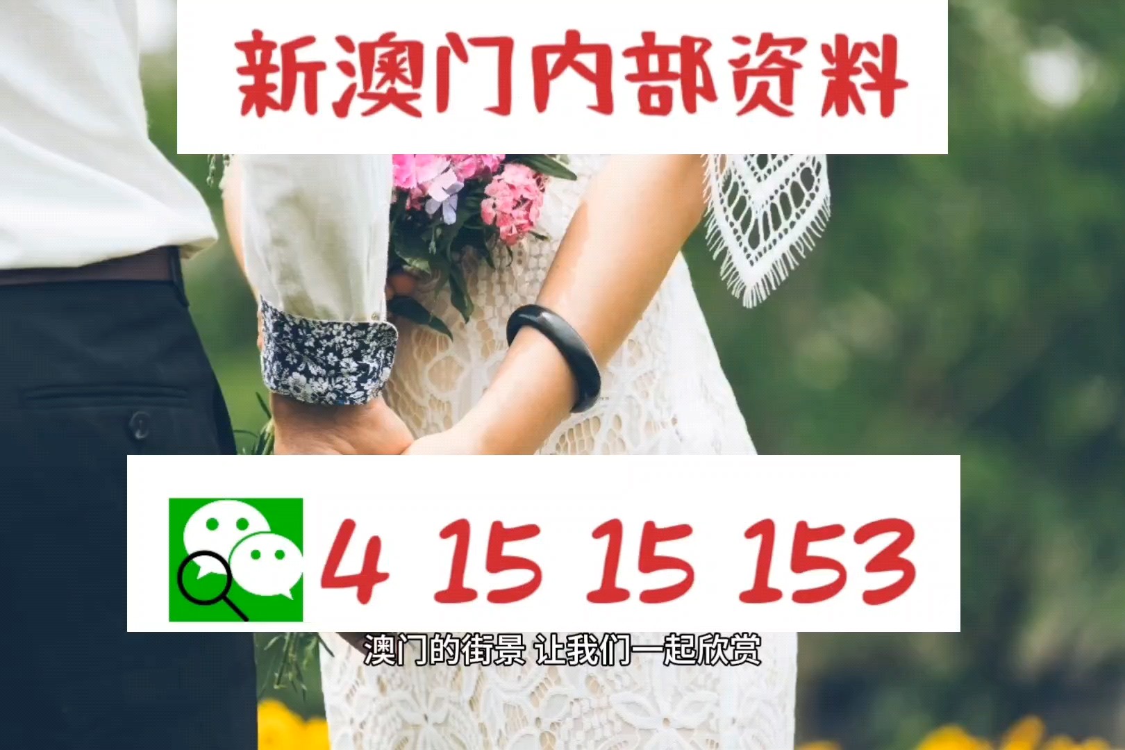 2025澳门正版四不像精准资料,精选资料解析大全