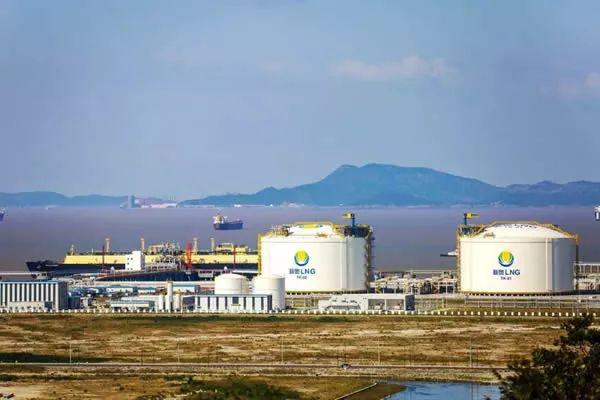新奥2025年免费资料大全,精选资料解析大全