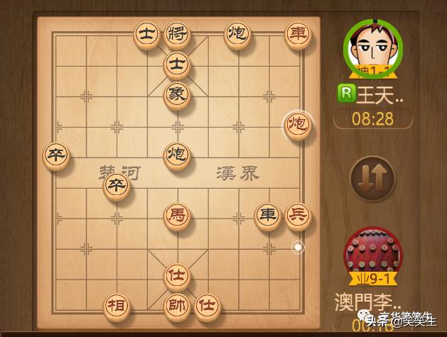 今晚澳门精准一肖一马,今晚澳门精准一肖一马预测与探索