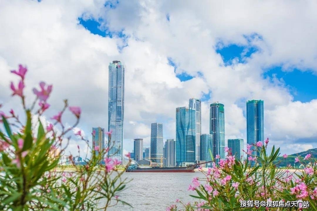 澳门王中王一肖一特一中,澳门王中王，一肖一特一中之奥秘