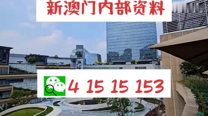 新澳门内部一码精准公开,新澳门内部一码精准公开，探索真相与理解的重要性