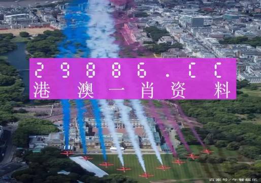 澳门精准一肖一码一一中,澳门精准一肖一码一一中，探索与解析