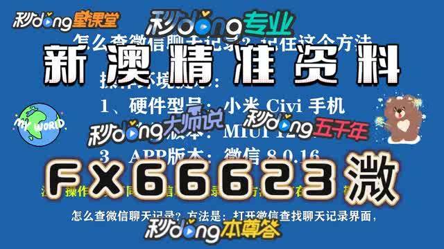新澳门内部一码最精准公开,新澳门内部一码最精准公开，探索真相与理解