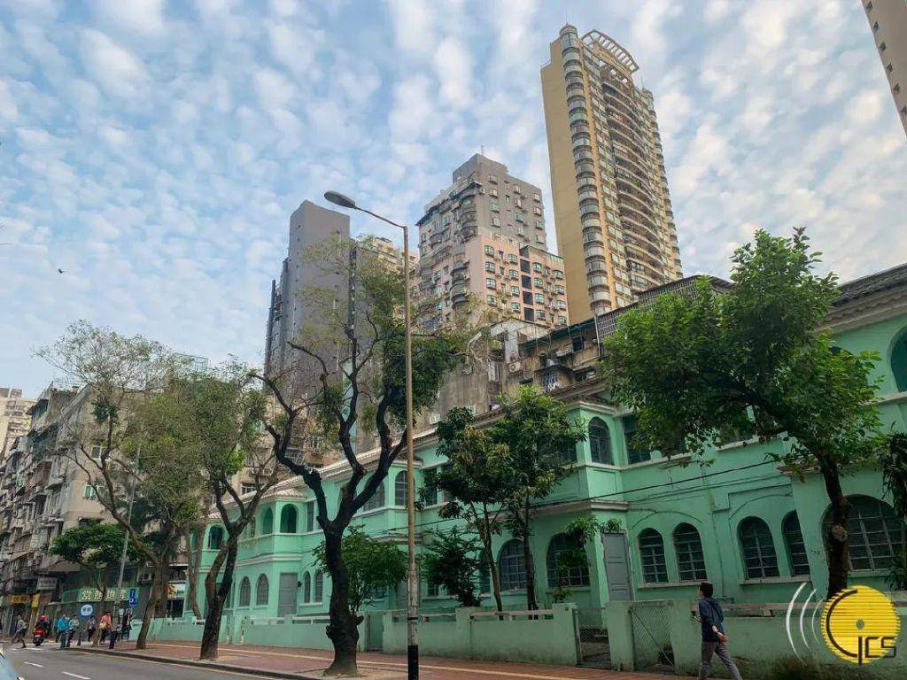 澳门一肖100准免费,澳门一肖100准免费——揭秘澳门生肖彩票的魅力