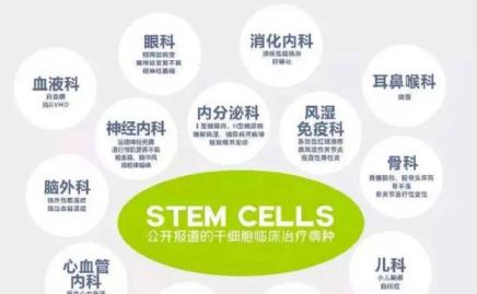 2025新澳精选资料免费提供,探索与共享，2025新澳精选资料的免费提供之路