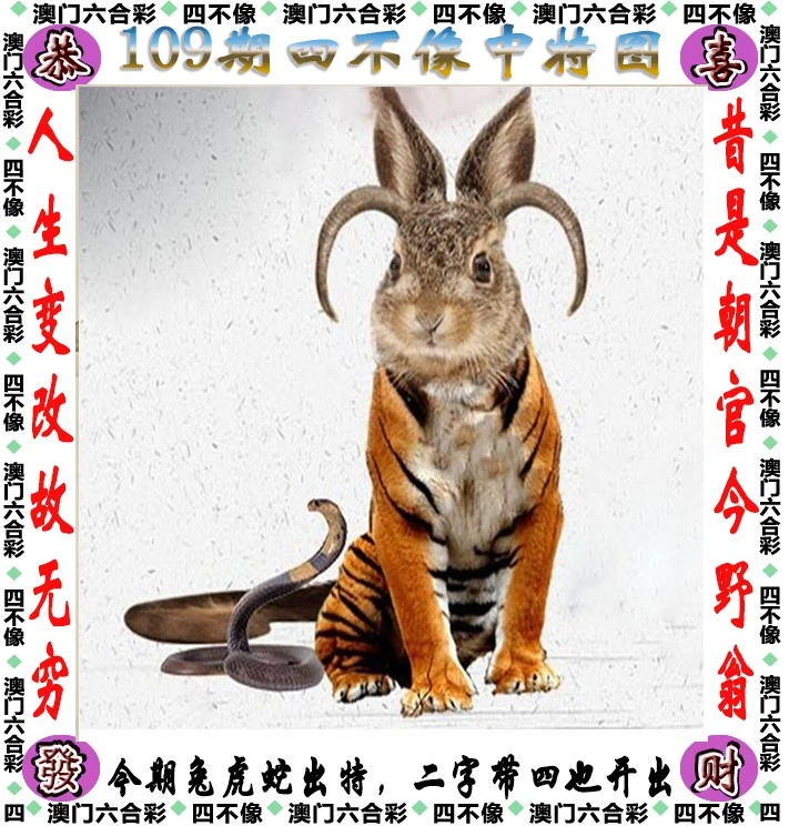 快评 第4页