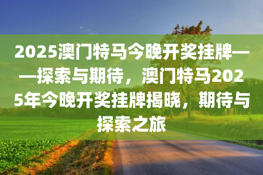 2025年今晚澳门开特马,探索未来的幸运之门，2025年今晚澳门开特马
